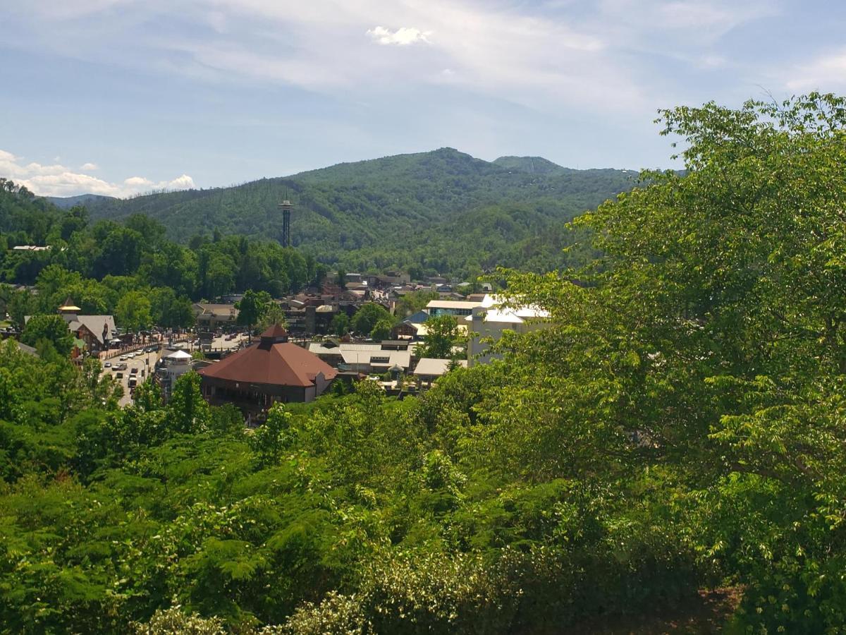 Gatlinburg Chateau Condo 503 외부 사진